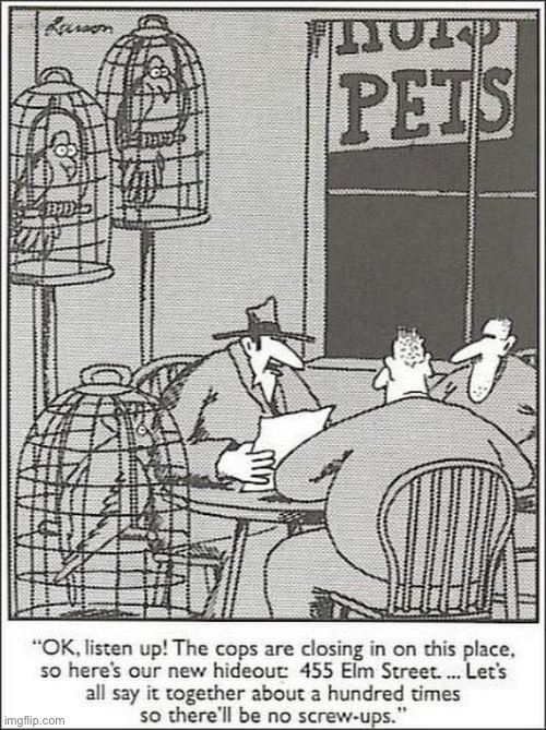 Nah, I’m sure they won’t say anything… | image tagged in the far side,comics,crooks,pet shop,birds | made w/ Imgflip meme maker