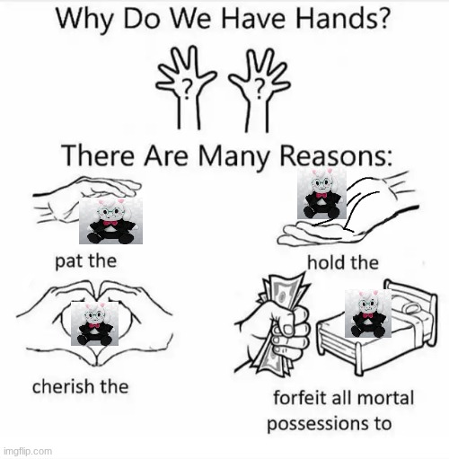 Best Fluffy Boi | image tagged in why do we have hands all blank | made w/ Imgflip meme maker