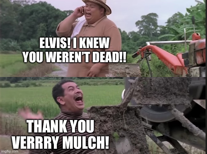Hantu Kak Limah Balik Rumah | ELVIS! I KNEW YOU WEREN’T DEAD!! THANK YOU VERRRY MULCH! | image tagged in hantu kak limah balik rumah | made w/ Imgflip meme maker