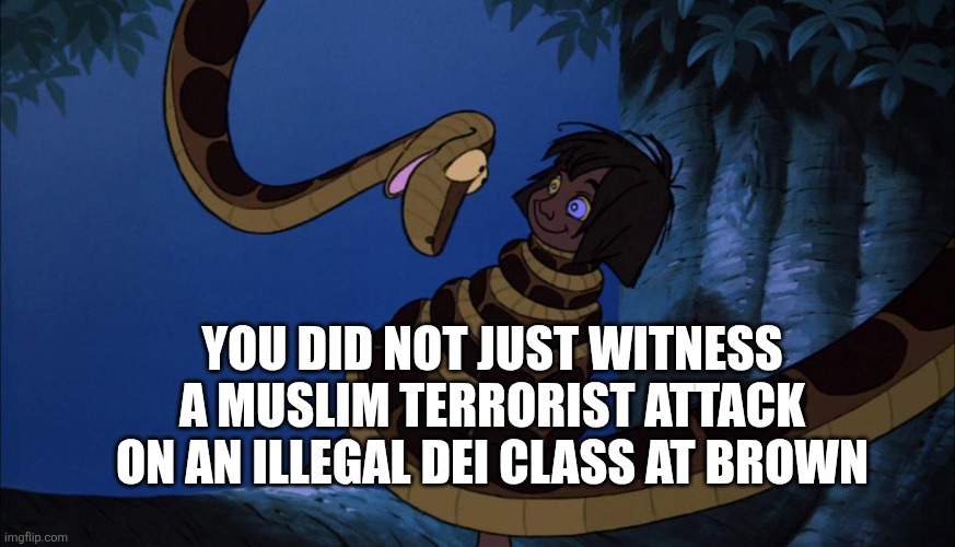 Mowgli and Kaa The Snake | YOU DID NOT JUST WITNESS A MUSLIM TERRORIST ATTACK ON AN ILLEGAL DEI CLASS AT BROWN | image tagged in mowgli and kaa the snake,funny memes | made w/ Imgflip meme maker