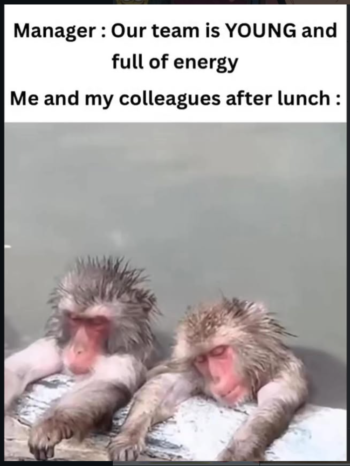 monkey Blank Meme Template