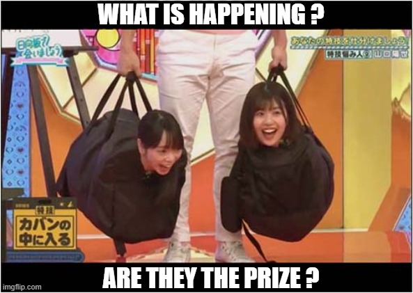 Just Another Weird Japanese Game Show | WHAT IS HAPPENING ? ARE THEY THE PRIZE ? | image tagged in japanese,game show,girls,prize | made w/ Imgflip meme maker