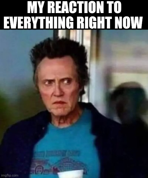 My Reaction To Everything Right Now | MY REACTION TO EVERYTHING RIGHT NOW | image tagged in chrisjoines1 | made w/ Imgflip meme maker