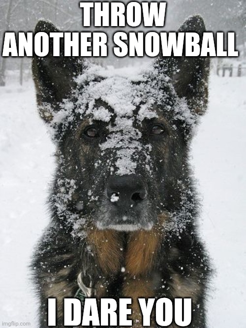 Throw Another Snowball I Dare You | THROW ANOTHER SNOWBALL; I DARE YOU | image tagged in chrisjoines1 | made w/ Imgflip meme maker