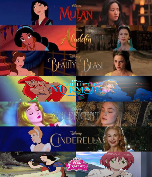 disney princesses | image tagged in yilab,disney,walt disney,disney princesses,foreign | made w/ Imgflip meme maker