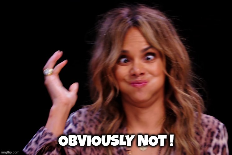 Boof ! | OBVIOUSLY NOT ! | image tagged in boof | made w/ Imgflip meme maker