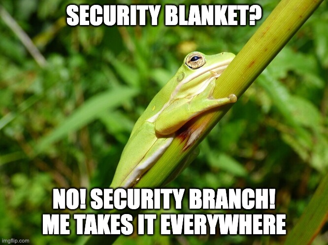 Everyone needs security of some sort | SECURITY BLANKET? NO! SECURITY BRANCH! ME TAKES IT EVERYWHERE | image tagged in fun,frog,nature,funny | made w/ Imgflip meme maker