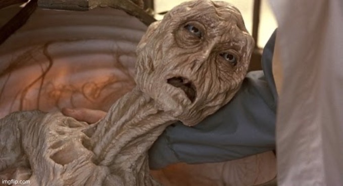 Dehydrated Alien | image tagged in dehydrated alien | made w/ Imgflip meme maker