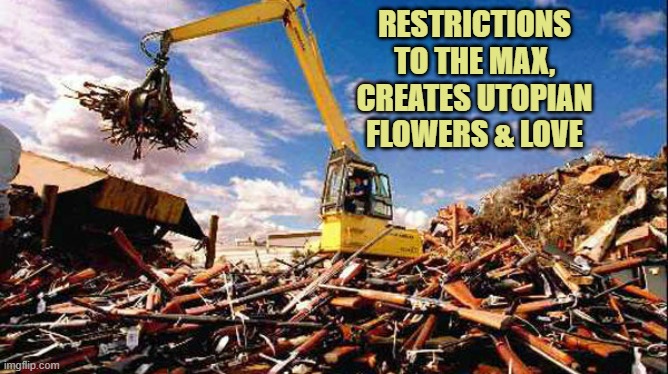 Kneejerk Reactions to Tragedy is not a smart way to Govern. | RESTRICTIONS
TO THE MAX,
CREATES UTOPIAN
FLOWERS & LOVE | image tagged in gun confiscation in australia,forest gump,archie bunker,tom hanks,mel brooks,norman lear | made w/ Imgflip meme maker