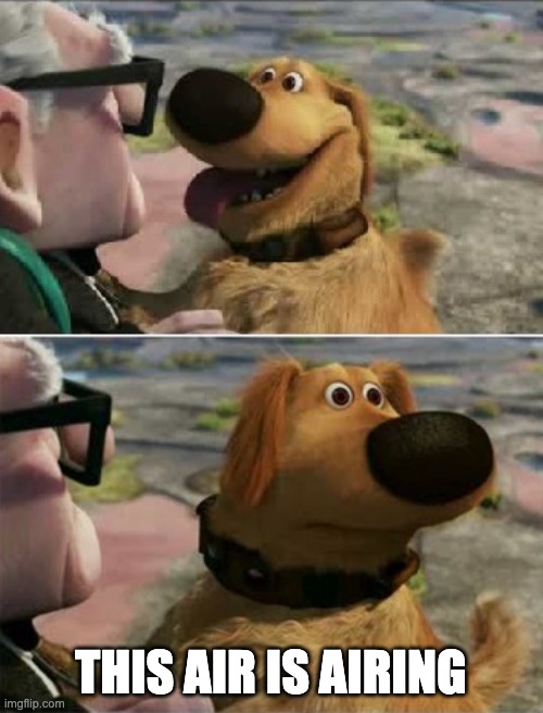 distracted by squirrel | THIS AIR IS AIRING | image tagged in distracted by squirrel | made w/ Imgflip meme maker