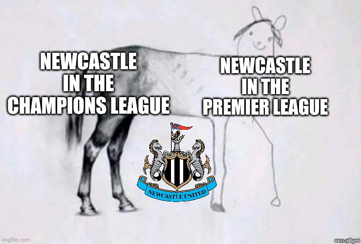 Sunderland - Newcastle 1-0. nuffsaid. | NEWCASTLE IN THE CHAMPIONS LEAGUE; NEWCASTLE IN THE PREMIER LEAGUE | image tagged in horse drawing,newcastle,sunderland,premier league,memes,sports | made w/ Imgflip meme maker