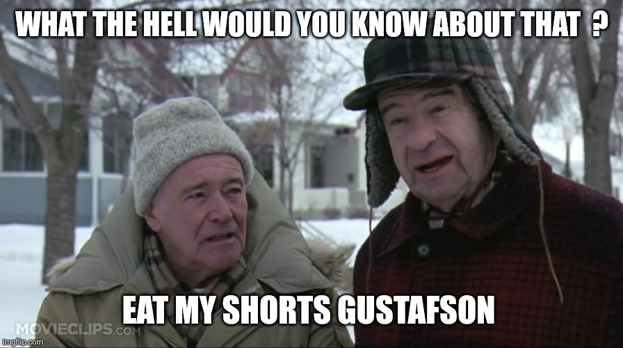 Grumpy old men  | WHAT THE HELL WOULD YOU KNOW ABOUT THAT  ? EAT MY SHORTS GUSTAFSON | image tagged in grumpy old men | made w/ Imgflip meme maker