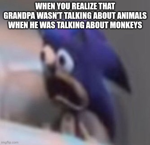 When you realize what grandpa really meant | WHEN YOU REALIZE THAT GRANDPA WASN'T TALKING ABOUT ANIMALS WHEN HE WAS TALKING ABOUT MONKEYS | image tagged in traumatised sonic | made w/ Imgflip meme maker