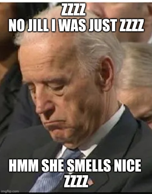 sleepy joe | ZZZZ  
NO JILL I WAS JUST ZZZZ HMM SHE SMELLS NICE 
ZZZZ | image tagged in sleepy joe | made w/ Imgflip meme maker