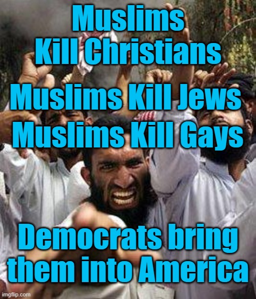 Muslims Kill, Muslims Kill Jews, Muslims Kill Gays and Democrats bring them into America | Muslims Kill Christians; Muslims Kill Jews; Muslims Kill Gays; Democrats bring them into America | image tagged in yet another offended muslim,hate,democrats | made w/ Imgflip meme maker
