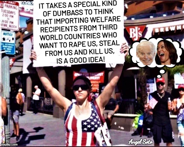 It takes a special kind of dumbass | IT TAKES A SPECIAL KIND
OF DUMBASS TO THINK
THAT IMPORTING WELFARE
RECIPIENTS FROM THIRD
WORLD COUNTRIES WHO 
WANT TO RAPE US, STEAL
FROM US AND KILL US,
 IS A GOOD IDEA! Angel Soto | image tagged in patriot girl holds sign,joe biden,kamala harris,third world,dumbass,patriot | made w/ Imgflip meme maker
