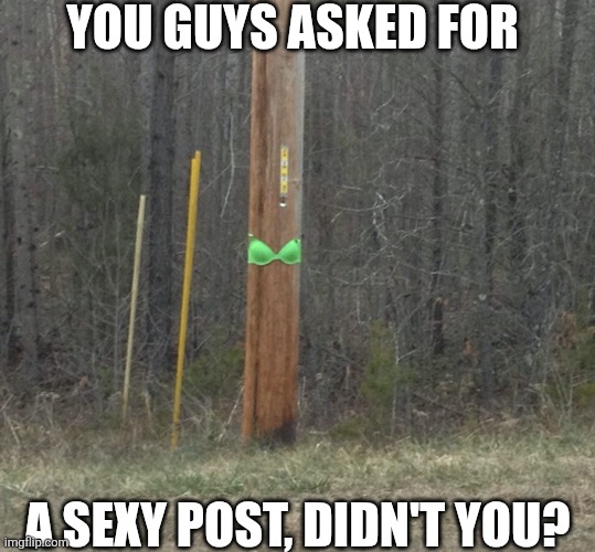 You Guys Asked For A Sexy Post | YOU GUYS ASKED FOR; A SEXY POST, DIDN'T YOU? | image tagged in chrisjoines1 | made w/ Imgflip meme maker