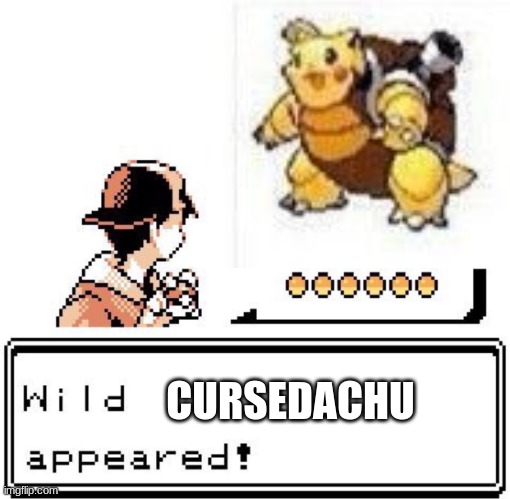 Blank Wild Pokemon Appears | CURSEDACHU | image tagged in blank wild pokemon appears,pokemon memes | made w/ Imgflip meme maker