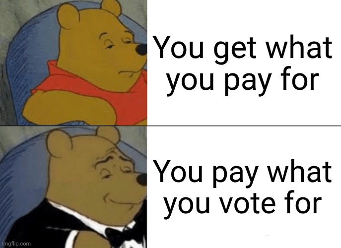 Maybe It's Time To Become Countries Instead Of States | You get what you pay for; You pay what you vote for | image tagged in memes,tuxedo winnie the pooh,government corruption,american politics,democracy,republic | made w/ Imgflip meme maker