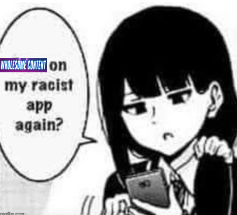 wholesome content on my racist app again Blank Meme Template