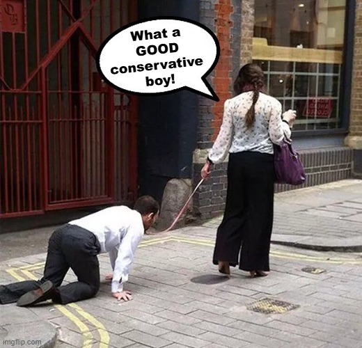 What a
GOOD
conservative 
boy! | made w/ Imgflip meme maker