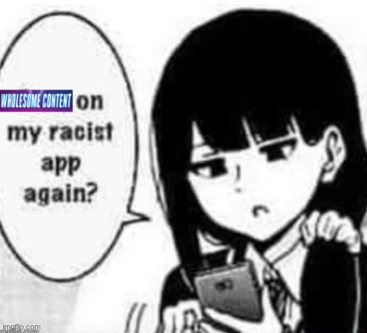 new temp | image tagged in wholesome content on my racist app again | made w/ Imgflip meme maker