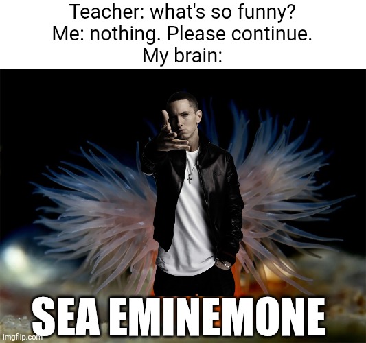 Sea Eminemone | Teacher: what's so funny?
Me: nothing. Please continue.
My brain:; SEA EMINEMONE | image tagged in eminem,anenome,funny,stop reading the tags | made w/ Imgflip meme maker