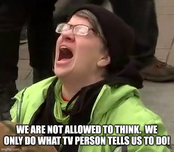 Crying liberal | WE ARE NOT ALLOWED TO THINK.  WE ONLY DO WHAT TV PERSON TELLS US TO DO! | image tagged in crying liberal | made w/ Imgflip meme maker