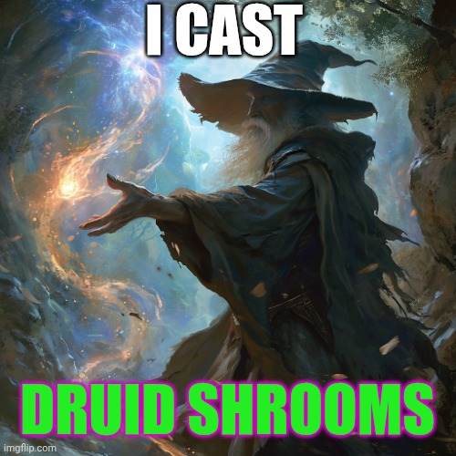 I cast | I CAST; DRUID SHROOMS | image tagged in i cast | made w/ Imgflip meme maker