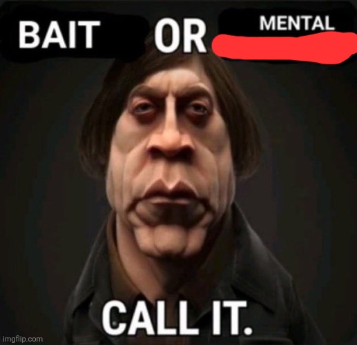 bait or mental retardation | image tagged in bait or mental retardation | made w/ Imgflip meme maker