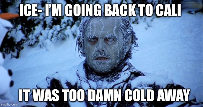 ICE- I’M GOING BACK TO CALI IT WAS TOO DAMN COLD AWAY | image tagged in freezing cold | made w/ Imgflip meme maker