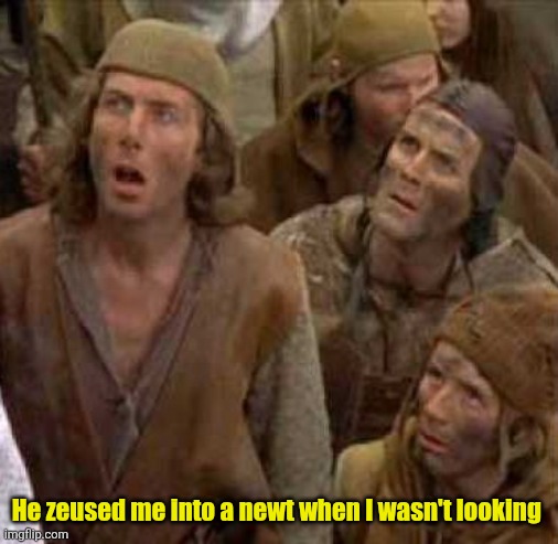 Turned me into a newt | He zeused me into a newt when I wasn't looking | image tagged in turned me into a newt | made w/ Imgflip meme maker