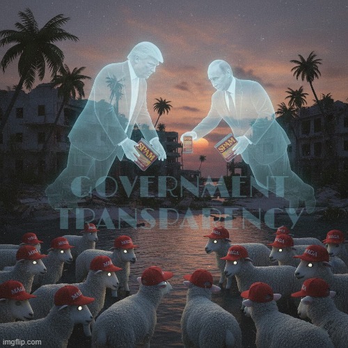 GOVERNMENT TRANSPERANCY | GOVERNMENT TRANSPARENCY | image tagged in government transperancy,trump,putin,maga,spam,cover up | made w/ Imgflip meme maker