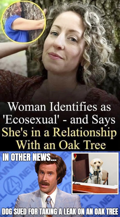IN OTHER NEWS... DOG SUED FOR TAKING A LEAK ON AN OAK TREE | image tagged in anchorman news,funny | made w/ Imgflip meme maker