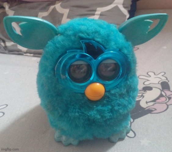 I bought a Furby Boom for Christmas that is exactly like this one (Not my photo, not my Furby) | made w/ Imgflip meme maker