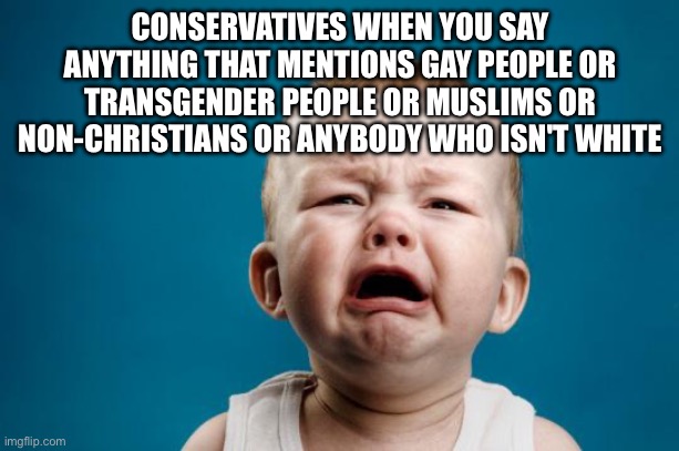 BABY CRYING | CONSERVATIVES WHEN YOU SAY ANYTHING THAT MENTIONS GAY PEOPLE OR TRANSGENDER PEOPLE OR MUSLIMS OR NON-CHRISTIANS OR ANYBODY WHO ISN'T WHITE | image tagged in baby crying | made w/ Imgflip meme maker