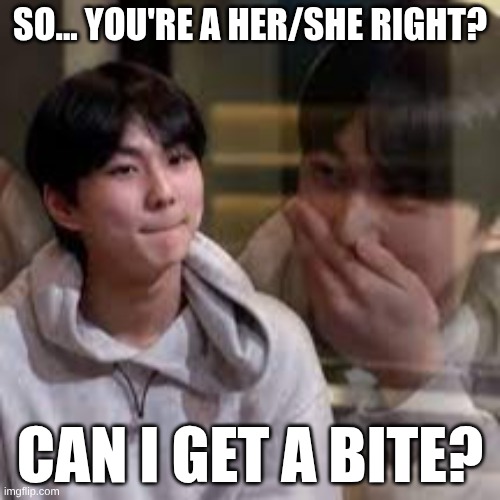 yes, I had a reality check... | SO... YOU'RE A HER/SHE RIGHT? CAN I GET A BITE? | image tagged in lol so funny,jungkook,kpop,rizz | made w/ Imgflip meme maker