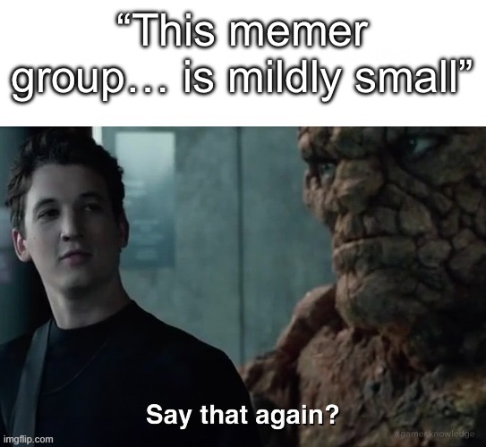 Say that again? | “This memer group… is mildly small” | image tagged in say that again | made w/ Imgflip meme maker