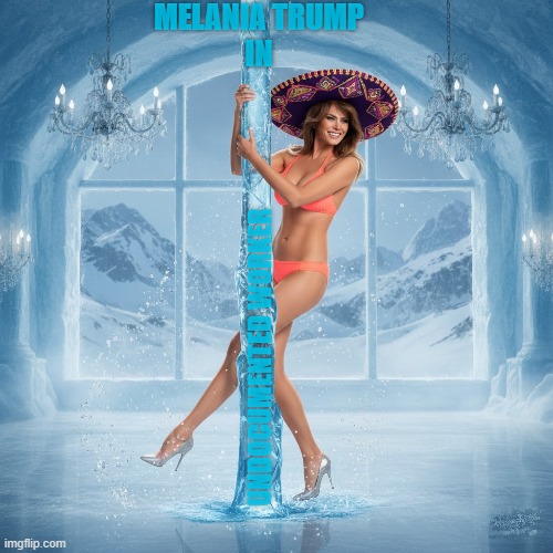 UNDOCUMENTED WORKER | MELANIA TRUMP
IN UNDOCUMENTED WORKER | image tagged in undocumented worker,illegal immigration,illegal aliens,trump,immigrants,stripper | made w/ Imgflip meme maker