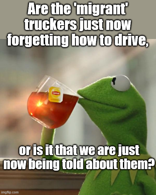 Another question from frogs everywhere | Are the 'migrant' truckers just now forgetting how to drive, or is it that we are just now being told about them? | image tagged in memes,but that's none of my business,kermit the frog | made w/ Imgflip meme maker