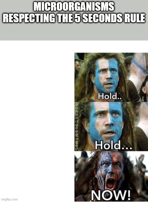 5 seconds rule | MICROORGANISMS RESPECTING THE 5 SECONDS RULE | image tagged in braveheart william wallace hold,food,microorganisms | made w/ Imgflip meme maker