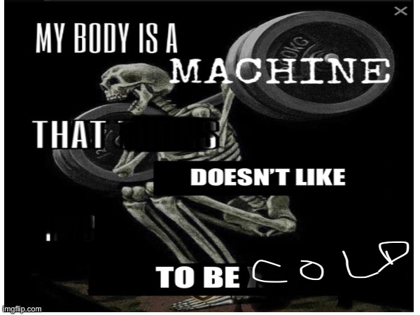 Cozy Machine | image tagged in chill guy | made w/ Imgflip meme maker