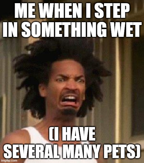 Disgusted Face | ME WHEN I STEP IN SOMETHING WET; (I HAVE SEVERAL MANY PETS) | image tagged in disgusted face | made w/ Imgflip meme maker