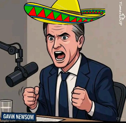 Gavin Newsom animated Blank Meme Template