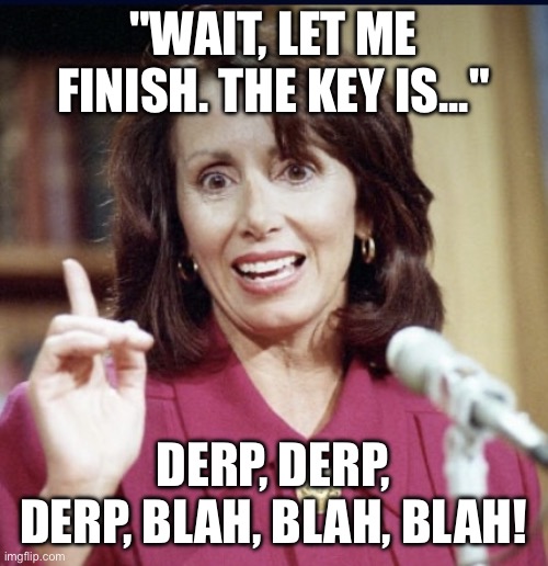 Let me finish- DERP! | "WAIT, LET ME FINISH. THE KEY IS..."; DERP, DERP, DERP, BLAH, BLAH, BLAH! | image tagged in wait let me finish the key is,nancy pelosi,derp,democrat,blah blah blah,democratic party | made w/ Imgflip meme maker