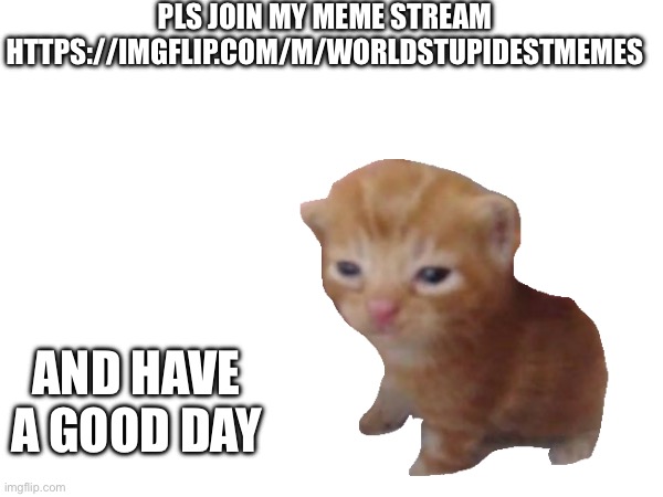 Pls | PLS JOIN MY MEME STREAM HTTPS://IMGFLIP.COM/M/WORLDSTUPIDESTMEMES; AND HAVE A GOOD DAY | image tagged in ha ha tags go brr | made w/ Imgflip meme maker