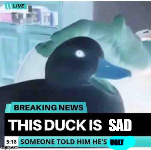 Happy duck | SAD; UGLY | image tagged in happy duck | made w/ Imgflip meme maker