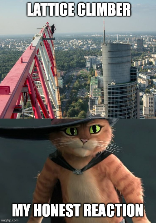 My Honest Reaction | LATTICE CLIMBER; MY HONEST REACTION | image tagged in meme,puss in boots,latticeclimbing,climbing | made w/ Imgflip meme maker