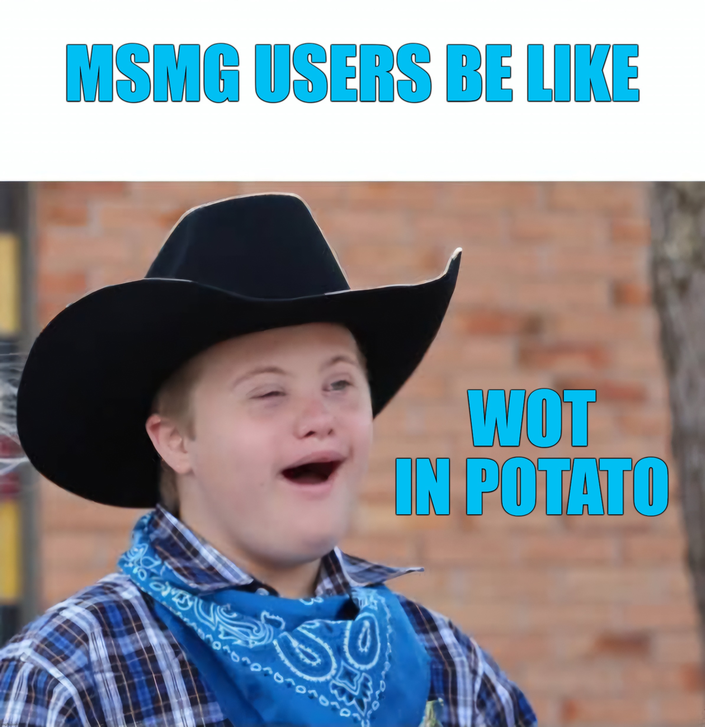 Mentally "special" | MSMG USERS BE LIKE; WOT IN POTATO | made w/ Imgflip meme maker