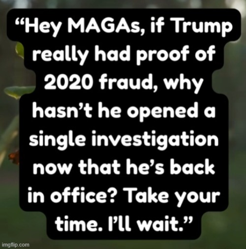 2020 | image tagged in donald trump | made w/ Imgflip meme maker